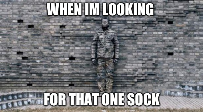 stupid sock | WHEN IM LOOKING; FOR THAT ONE SOCK | image tagged in camouflage wall | made w/ Imgflip meme maker