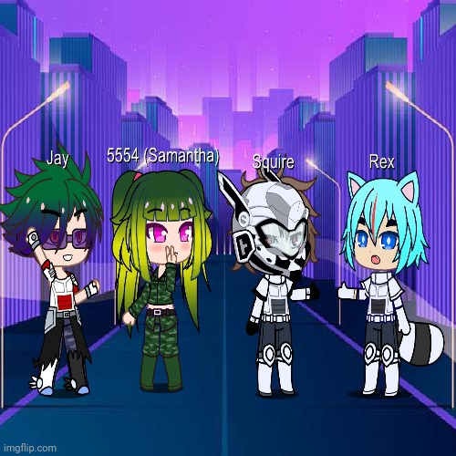 Meet 5554 with her friends (5554 is her nickname, Samantha is her real name) | image tagged in 5554,samantha,millitary | made w/ Imgflip meme maker