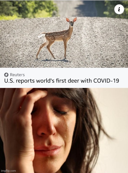 COVID-19, HOW COULD YOU!!?! | image tagged in memes,first world problems,coronavirus,covid-19,usa,deer | made w/ Imgflip meme maker