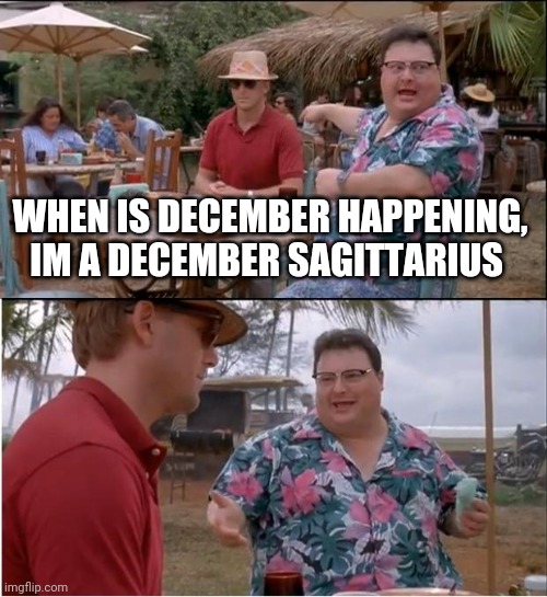 See Nobody Cares Meme | WHEN IS DECEMBER HAPPENING,
IM A DECEMBER SAGITTARIUS | image tagged in memes,see nobody cares | made w/ Imgflip meme maker