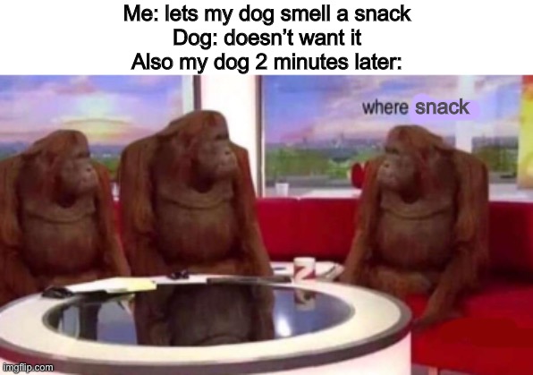 snack moment | Me: lets my dog smell a snack
Dog: doesn’t want it
Also my dog 2 minutes later:; snack | image tagged in where banana blank,dog memes | made w/ Imgflip meme maker
