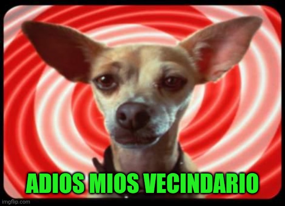 taco bell dog | ADIOS MIOS VECINDARIO | image tagged in taco bell dog | made w/ Imgflip meme maker