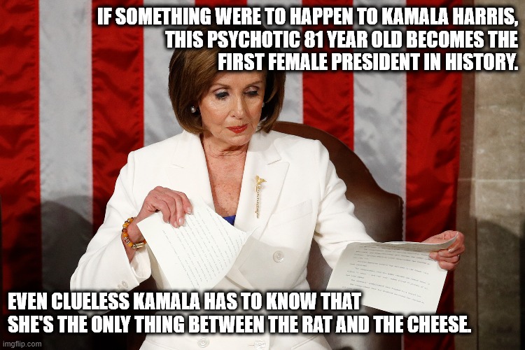 Feed the Rodents | IF SOMETHING WERE TO HAPPEN TO KAMALA HARRIS,
THIS PSYCHOTIC 81 YEAR OLD BECOMES THE
FIRST FEMALE PRESIDENT IN HISTORY. EVEN CLUELESS KAMALA HAS TO KNOW THAT SHE'S THE ONLY THING BETWEEN THE RAT AND THE CHEESE. | image tagged in nancy pelosi,potus,danger,run away,kamala harris | made w/ Imgflip meme maker