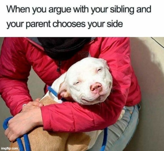 image tagged in middle school | made w/ Imgflip meme maker