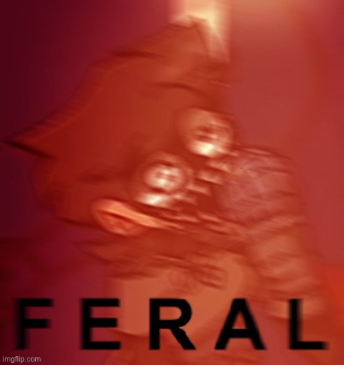 c u a c k b e r t | image tagged in f e r a l | made w/ Imgflip meme maker