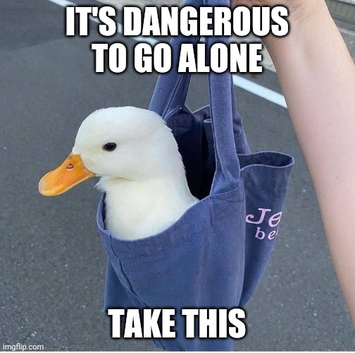 IT WILL HELP | IT'S DANGEROUS TO GO ALONE; TAKE THIS | image tagged in ducks,zelda | made w/ Imgflip meme maker