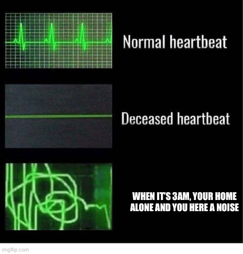This happened to me once and my blood ran cold | WHEN IT’S 3AM, YOUR HOME ALONE AND YOU HERE A NOISE | image tagged in normal heartbeat deceased heartbeat | made w/ Imgflip meme maker