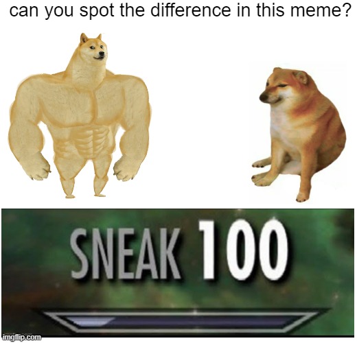 Lets play a game of hide and seek | can you spot the difference in this meme? | image tagged in memes,buff doge vs cheems,sneak 100,spot the difference | made w/ Imgflip meme maker