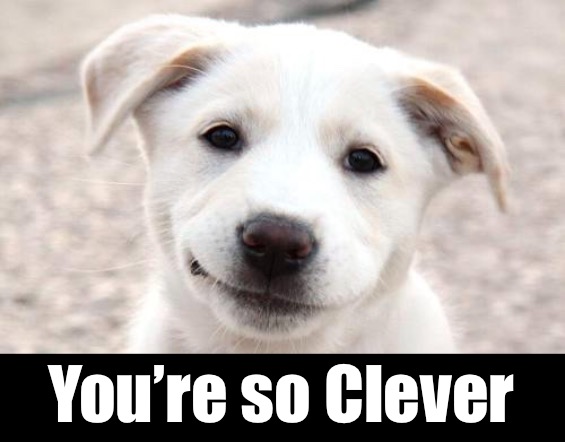 You’re so Clever | made w/ Imgflip meme maker