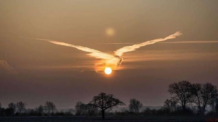 Cloud Looks like a Bird | image tagged in awesome,pics,photography | made w/ Imgflip meme maker