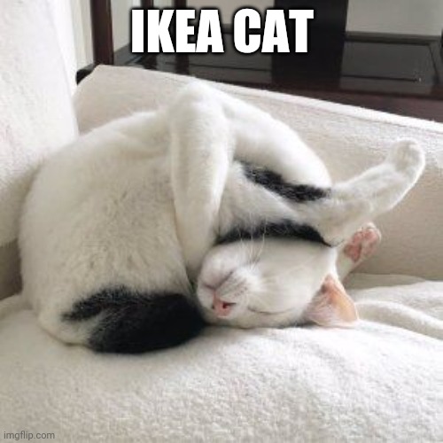 Idea Cat | IKEA CAT | image tagged in idea cat | made w/ Imgflip meme maker