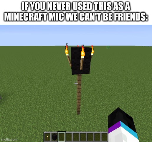 I did and I know others did | IF YOU NEVER USED THIS AS A MINECRAFT MIC WE CAN'T BE FRIENDS: | image tagged in ok | made w/ Imgflip meme maker