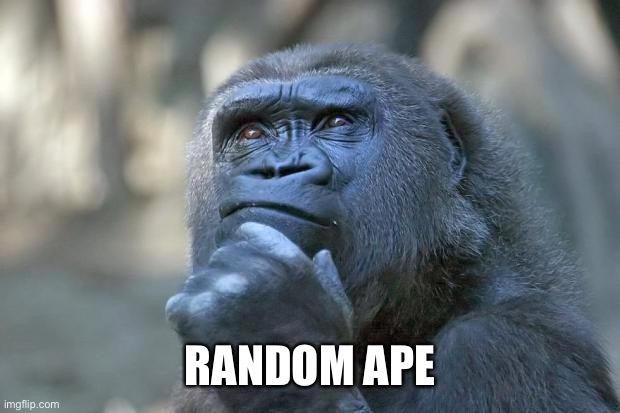 that is the question | RANDOM APE | image tagged in that is the question | made w/ Imgflip meme maker