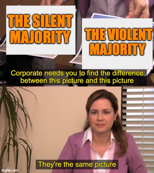 there the same picture | THE VIOLENT MAJORITY; THE SILENT MAJORITY | image tagged in there the same picture | made w/ Imgflip meme maker