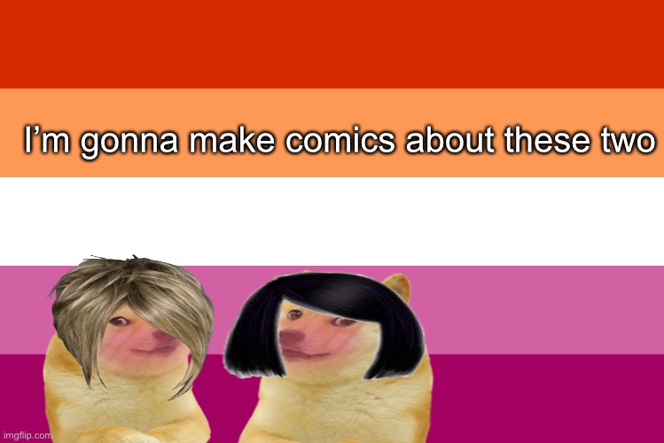 If that’s okay with y’all |  I’m gonna make comics about these two | image tagged in lesbian flag,doge,comics | made w/ Imgflip meme maker