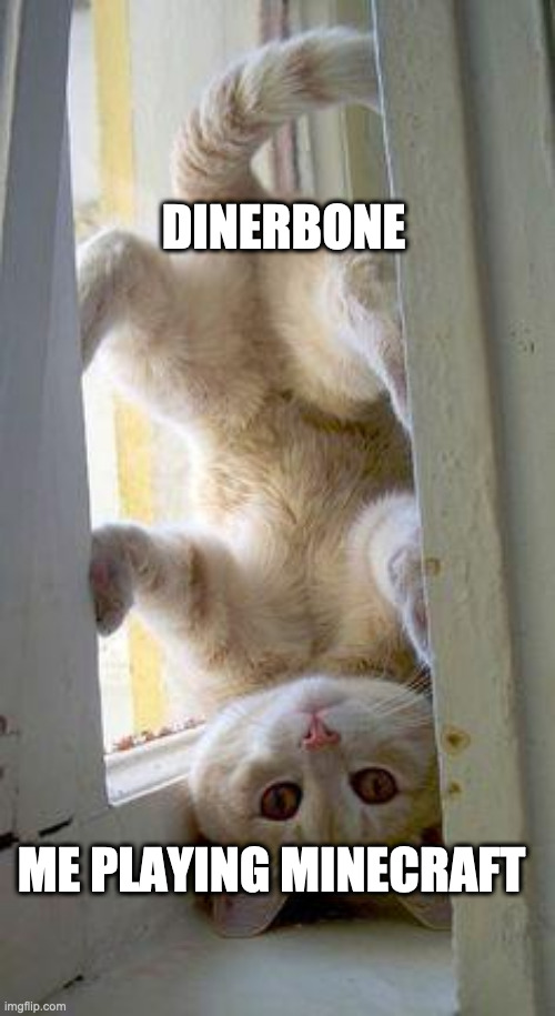 upside down cat | ME PLAYING MINECRAFT DINERBONE | image tagged in upside down cat | made w/ Imgflip meme maker