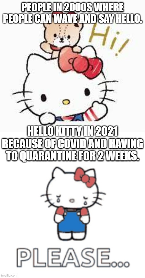 People in 2021 be like. | PEOPLE IN 2000S WHERE PEOPLE CAN WAVE AND SAY HELLO. HELLO KITTY IN 2021 BECAUSE OF COVID AND HAVING TO QUARANTINE FOR 2 WEEKS. | image tagged in political meme | made w/ Imgflip meme maker