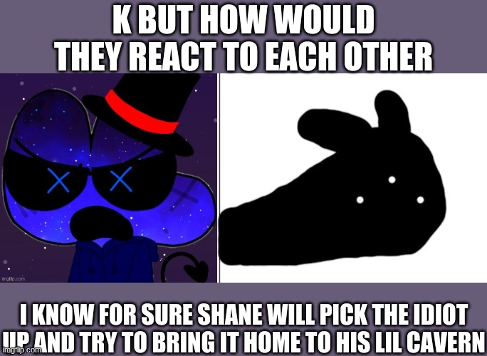 random thoughts | K BUT HOW WOULD THEY REACT TO EACH OTHER; I KNOW FOR SURE SHANE WILL PICK THE IDIOT UP AND TRY TO BRING IT HOME TO HIS LIL CAVERN | made w/ Imgflip meme maker
