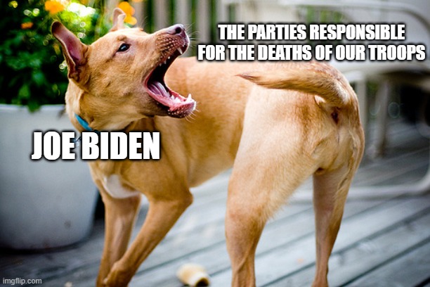 Now serving justice. | THE PARTIES RESPONSIBLE FOR THE DEATHS OF OUR TROOPS; JOE BIDEN | image tagged in joe biden | made w/ Imgflip meme maker