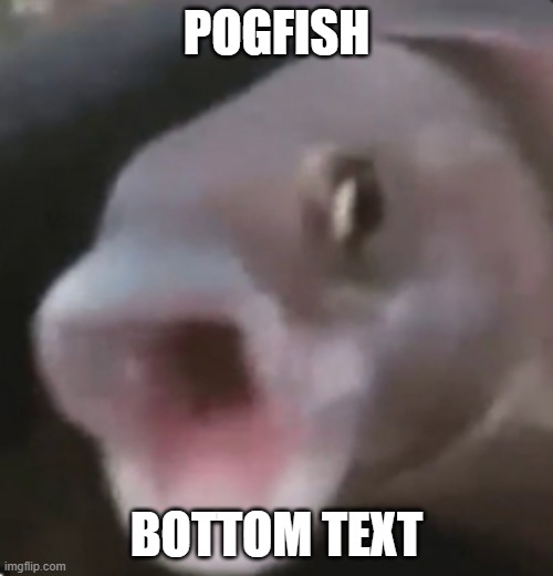 Poggers Fish | POGFISH; BOTTOM TEXT | image tagged in poggers fish | made w/ Imgflip meme maker