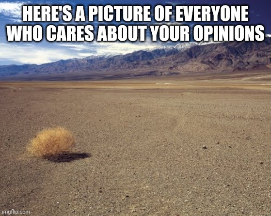 tumble weed | HERE'S A PICTURE OF EVERYONE WHO CARES ABOUT YOUR OPINIONS | image tagged in tumble weed | made w/ Imgflip meme maker