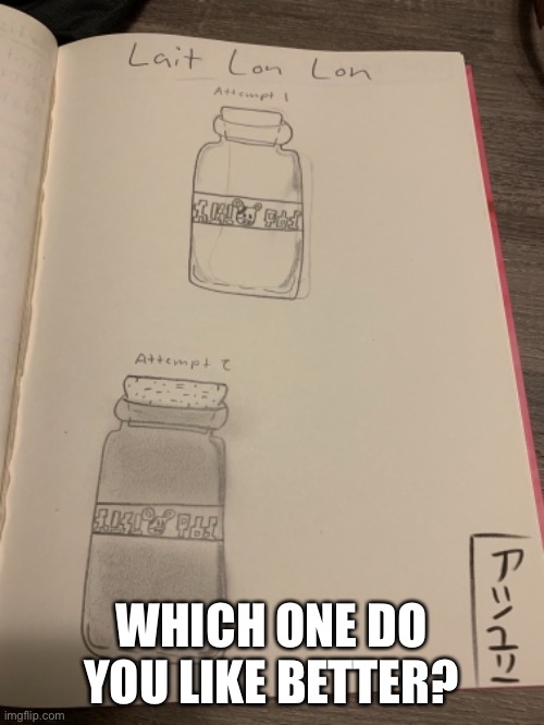 Bottles | WHICH ONE DO YOU LIKE BETTER? | image tagged in demisexual_sponge | made w/ Imgflip meme maker