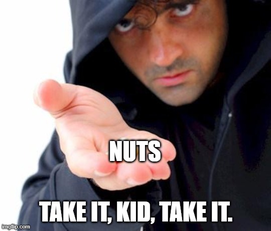 sketchy drug dealer | NUTS TAKE IT, KID, TAKE IT. | image tagged in sketchy drug dealer | made w/ Imgflip meme maker