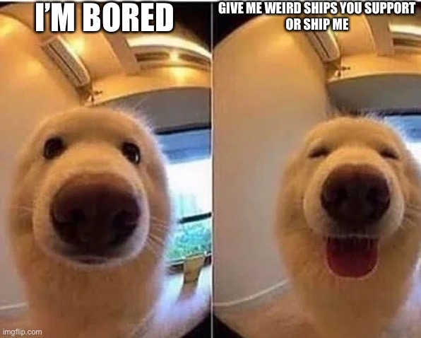wholesome doggo | I’M BORED; GIVE ME WEIRD SHIPS YOU SUPPORT
OR SHIP ME | image tagged in wholesome doggo | made w/ Imgflip meme maker