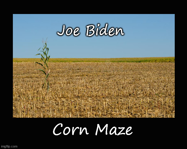 Joe Biden Corn Maze | Joe Biden; Corn Maze | image tagged in biden | made w/ Imgflip meme maker