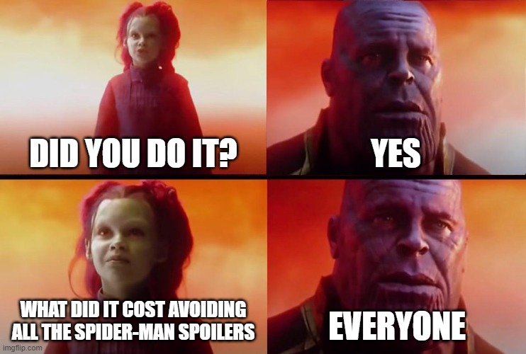 spider-man spoilers | DID YOU DO IT? YES; WHAT DID IT COST AVOIDING ALL THE SPIDER-MAN SPOILERS; EVERYONE | image tagged in thanos what did it cost | made w/ Imgflip meme maker