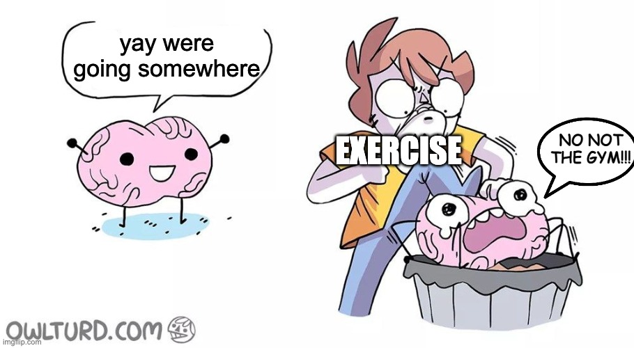 Beat the brain | yay were going somewhere; EXERCISE; NO NOT THE GYM!!! | image tagged in beat the brain | made w/ Imgflip meme maker