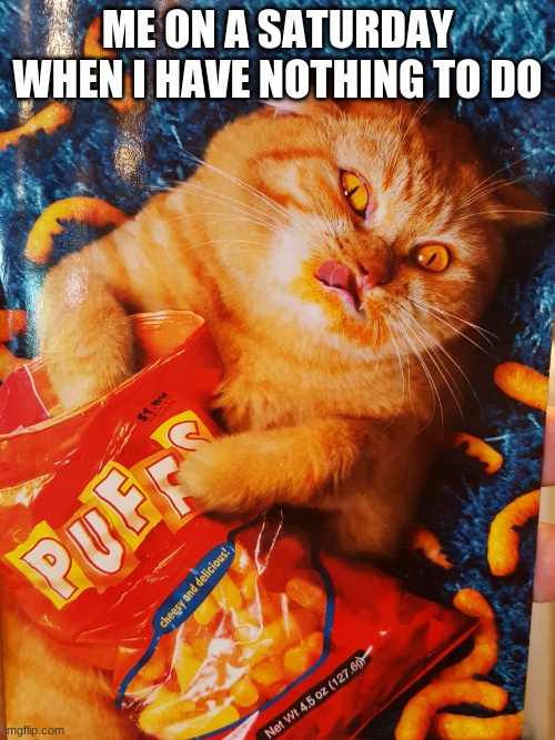 relax times 100000 | ME ON A SATURDAY WHEN I HAVE NOTHING TO DO | image tagged in cat eating cheetos | made w/ Imgflip meme maker