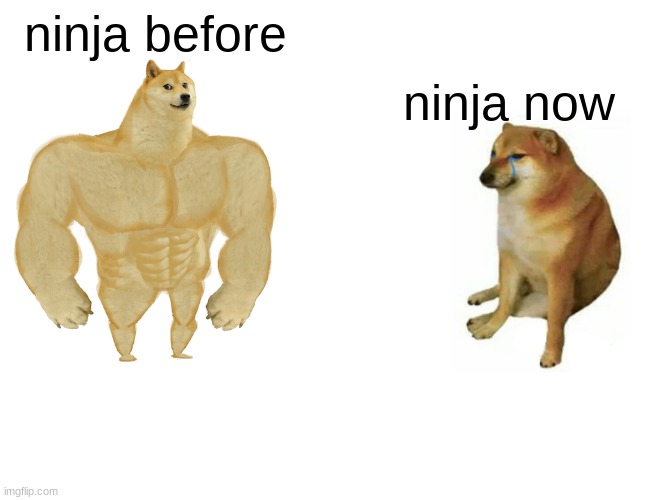 Buff Doge vs. Cheems Meme | ninja before; ninja now | image tagged in memes,buff doge vs cheems | made w/ Imgflip meme maker