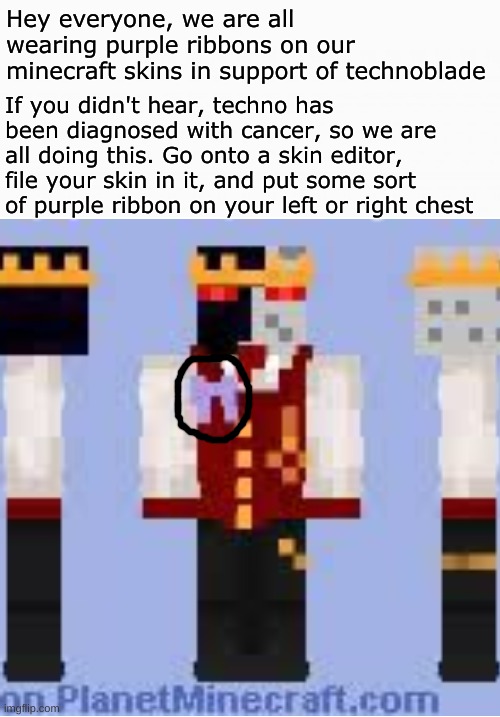We love you, technoblade. we are here for you. Technoblade never dies |  Hey everyone, we are all wearing purple ribbons on our minecraft skins in support of technoblade; If you didn't hear, techno has been diagnosed with cancer, so we are all doing this. Go onto a skin editor, file your skin in it, and put some sort of purple ribbon on your left or right chest | image tagged in white box,memes,blank transparent square,technoblade,cancer,purple ribbon | made w/ Imgflip meme maker
