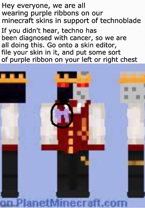 We love you, technoblade. we are here for you. Technoblade never dies | Hey everyone, we are all wearing purple ribbons on our minecraft skins in support of technoblade; If you didn't hear, techno has been diagnosed with cancer, so we are all doing this. Go onto a skin editor, file your skin in it, and put some sort of purple ribbon on your left or right chest | image tagged in white box,memes,blank transparent square,technoblade,cancer,purple ribbon | made w/ Imgflip meme maker