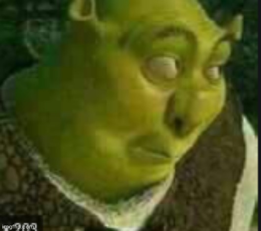 shrek meme | image tagged in shrek meme | made w/ Imgflip meme maker