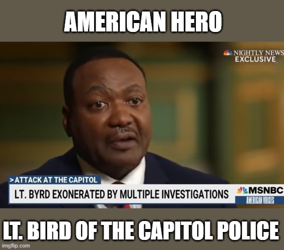There is the Right to Shoot Violent Attackers Breaking Into Your House (of Congress) | AMERICAN HERO; LT. BIRD OF THE CAPITOL POLICE | image tagged in intruders,insurrectionists,january 6,domestic terrorists,lt bird is a hero | made w/ Imgflip meme maker