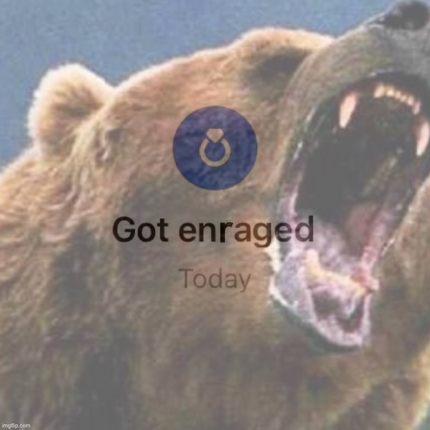 Rage bear got enraged today Blank Meme Template