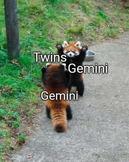 I'm Just Bored (and I don't usually mention zodiac signs) | Twins; Gemini; Gemini | image tagged in red pandas | made w/ Imgflip meme maker