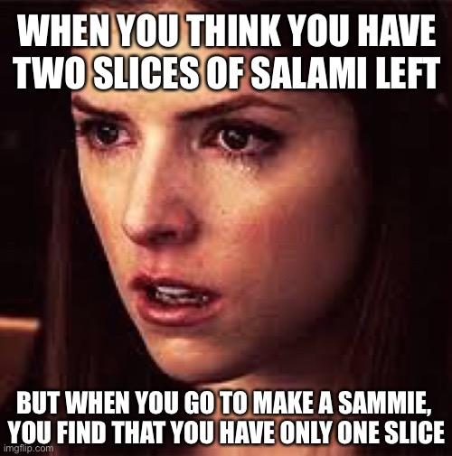 First World Problems - Anna | WHEN YOU THINK YOU HAVE 
TWO SLICES OF SALAMI LEFT; BUT WHEN YOU GO TO MAKE A SAMMIE, 

YOU FIND THAT YOU HAVE ONLY ONE SLICE | image tagged in first world problems - anna | made w/ Imgflip meme maker
