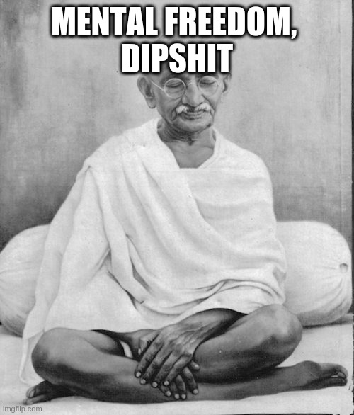 you can still feel free in prison | MENTAL FREEDOM, 
DIPSHIT | image tagged in gandhi meditation | made w/ Imgflip meme maker