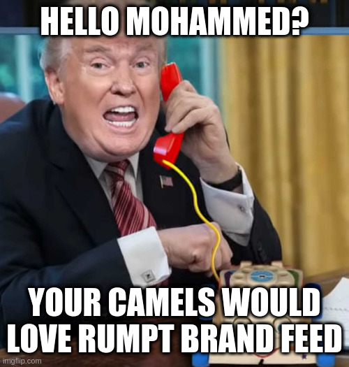 rumpt is in with the Taliban now | HELLO MOHAMMED? YOUR CAMELS WOULD LOVE RUMPT BRAND FEED | image tagged in i'm the president | made w/ Imgflip meme maker