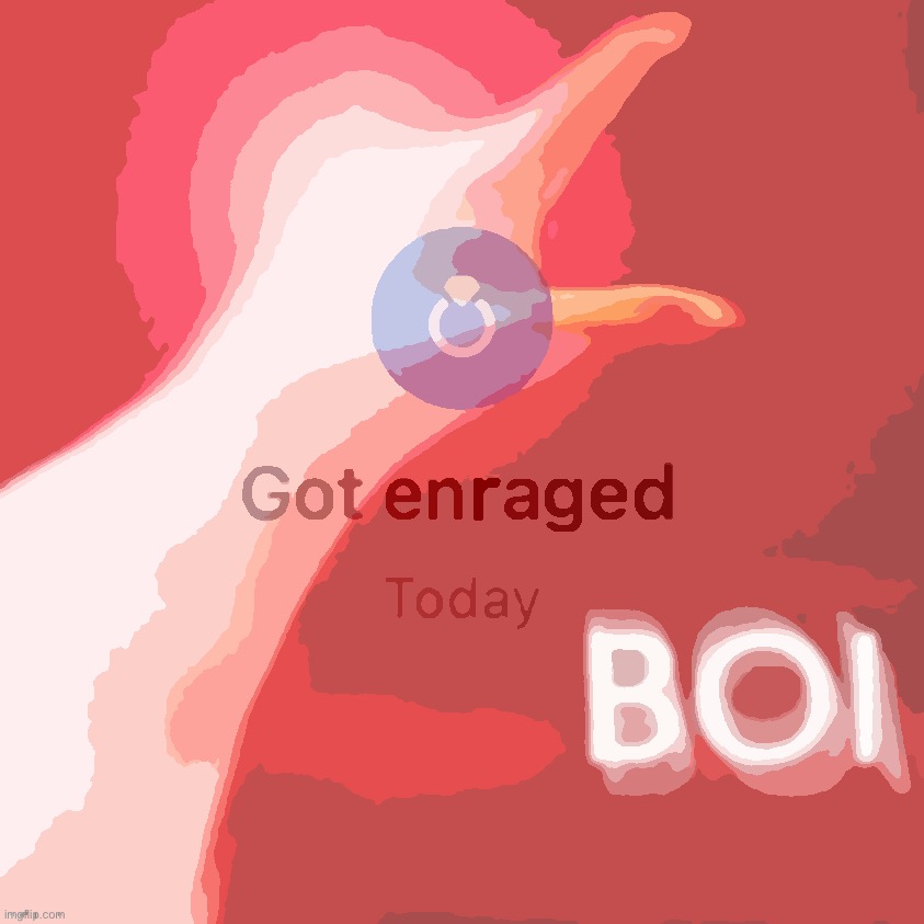 Raging bird got enraged today | image tagged in raging bird got enraged today | made w/ Imgflip meme maker