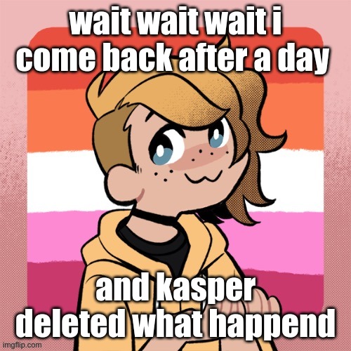wait wait wait i come back after a day; and kasper deleted what happend | image tagged in hey look it s bean | made w/ Imgflip meme maker