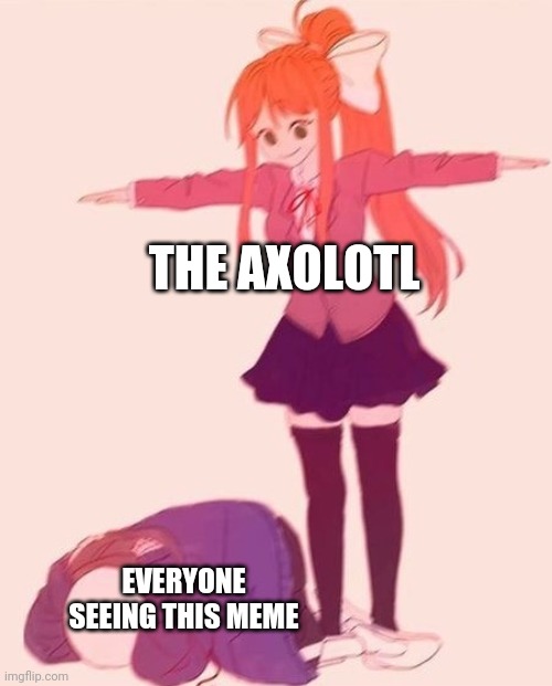anime t pose | THE AXOLOTL EVERYONE SEEING THIS MEME | image tagged in anime t pose | made w/ Imgflip meme maker