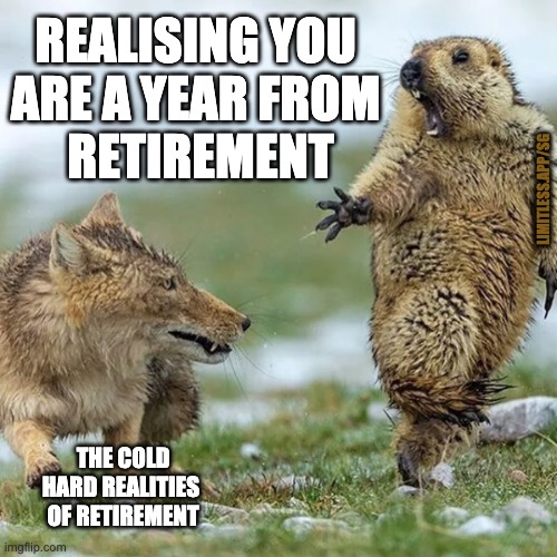 Leave it to... a year from retirement? | REALISING YOU 
ARE A YEAR FROM 
RETIREMENT; LIMITLESS.APP/SG; THE COLD
HARD REALITIES 
OF RETIREMENT | image tagged in unstable beaver,retirement,personal finance,limitless,investment,not too late | made w/ Imgflip meme maker