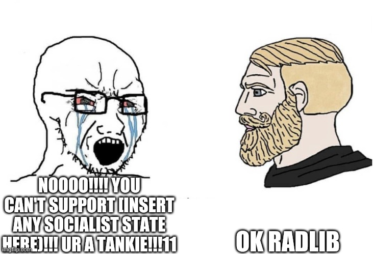 Soyboy Vs Yes Chad | OK RADLIB; NOOOO!!!! YOU CAN'T SUPPORT [INSERT ANY SOCIALIST STATE HERE)!!! UR A TANKIE!!!11 | image tagged in soyboy vs yes chad | made w/ Imgflip meme maker