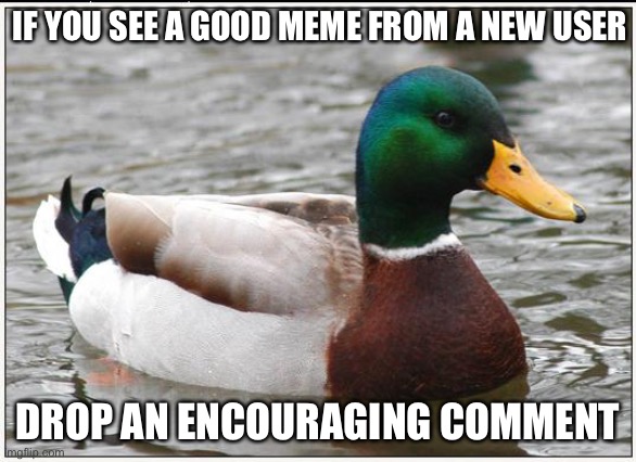Please comment on good memes from new users |  IF YOU SEE A GOOD MEME FROM A NEW USER; DROP AN ENCOURAGING COMMENT | image tagged in memes,actual advice mallard,wholesome,encouragement | made w/ Imgflip meme maker