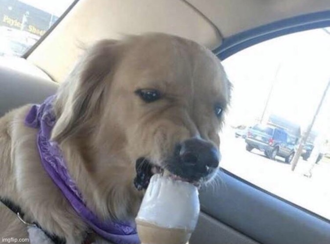 h | image tagged in h | made w/ Imgflip meme maker