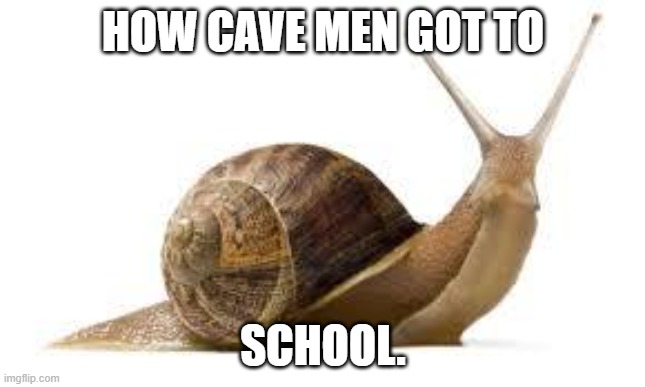 SNAIL | HOW CAVE MEN GOT TO SCHOOL. | image tagged in snail | made w/ Imgflip meme maker